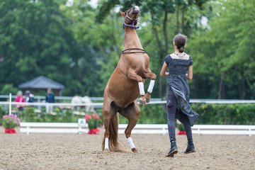 Bild 162 - Pony Akademie Turnier